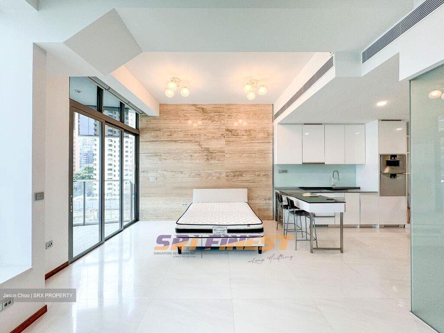 The Scotts Tower (D9), Condominium #459157901